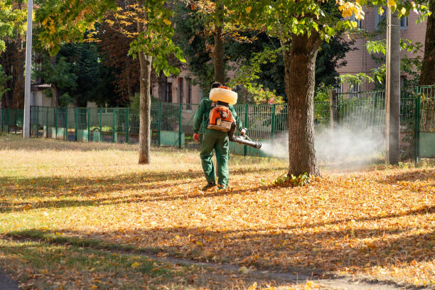 Best Flea Control Services  in Akron, CO