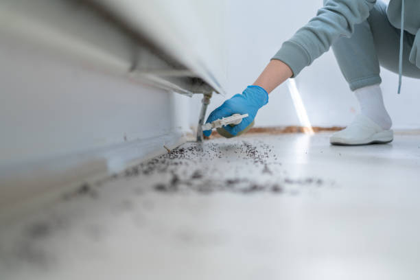 Best Pest Control for Businesses  in Akron, CO