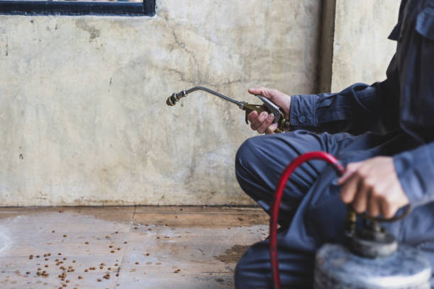 Best Local Pest Control Services  in Akron, CO