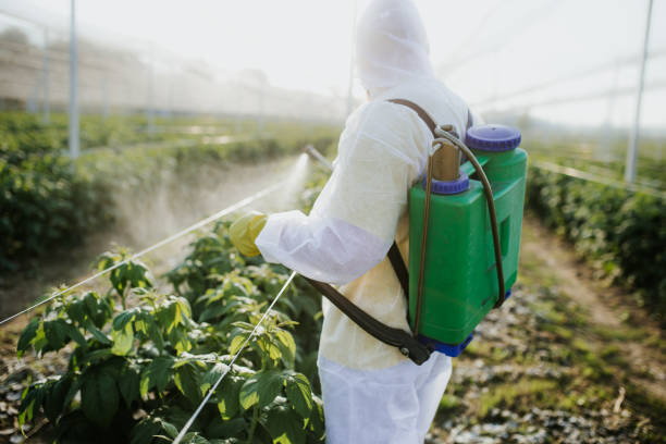 Best Best Pest Control Companies  in Akron, CO